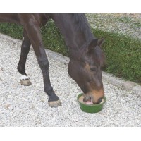 Lizika v posodi za konje BRONCHIAL z vitamini in minerali, 6 kg Lizika v posodi za konje BRONCHIAL z vitamini in minerali, 6 kg