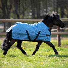 Nepremočljiva dežna odeja za ponija ali žrebička WINDCHILLY