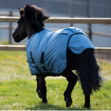 Nepremočljiva dežna odeja za ponija ali žrebička WINDCHILLY