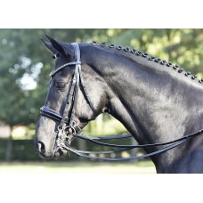 Dvojna uzda LUXURY
