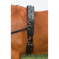Lonžirni pas PROFESSIONAL-LEDER Lonžirni pas PROFESSIONAL-LEDER