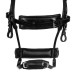 Equestro® anatomska uzda Collegiate Comfitec Equestro® anatomska uzda Collegiate Comfitec