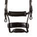 Equestro® anatomska uzda Collegiate Comfitec Equestro® anatomska uzda Collegiate Comfitec