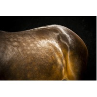 Exhibitor's™ Quick Sheen, SPREJ ZA SIJAJ DLAKE