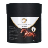 Excellent GLUKOZAMIN + MSM, 1kg Excellent GLUKOZAMIN + MSM, 1kg