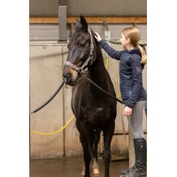 Excellent Horse, krtača za odstranjevanje dlake