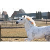 Lucky horse krede za barvanje grive UNICORN