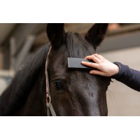 Excellent Horse, krtača za odstranjevanje dlake