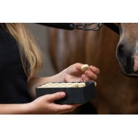 Tablete za konja HEALTHY BOX RESISTANCE za večjo odpornost in podporo