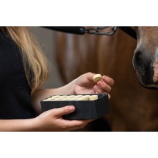 Tablete za konja HEALTHY BOX RESISTANCE za večjo odpornost in podporo