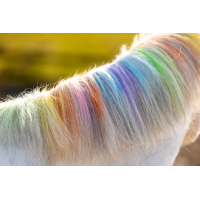 Lucky horse krede za barvanje grive UNICORN Lucky horse krede za barvanje grive UNICORN