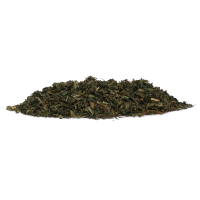 Excellent Herbs KOPRIVA, podpira delovanje ledvic in sečil