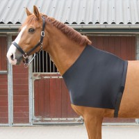 Zaščita za prsa pred odrgninami CHEST PROTECTOR Zaščita za prsa pred odrgninami CHEST PROTECTOR