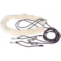 Lonžirni pripomoček TRAINING AID
