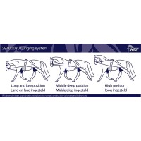 Lonžirni pripomoček TRAINING AID