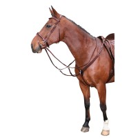 Angleška oprsnica ELASTIC