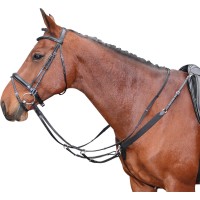 Angleška oprsnica ELASTIC