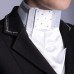 Plastron PRECIOUS Plastron PRECIOUS