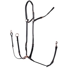 Angleška anatomska oprsnica ROSEGOLD