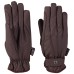 Zimske jahalne rokavice Alaska Waterproof