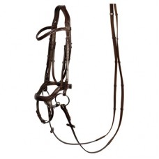Angleška uzda Anatomic