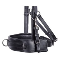 Lonžirna uzda/oglavka LEATHER