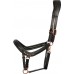 Usnjena oglavka ROSEGOLD ANATOMIC Usnjena oglavka ROSEGOLD ANATOMIC