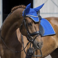 Naušniki EQUESTRIAN PRO