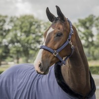 Hlevska oglavka s povodcem EQUESTRIAN PRO