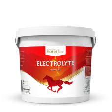 HorseLine Electrolyte PowerPlus, elektroliti v prahu