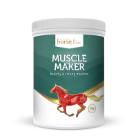 HorseLine MuscleMaker Doping Free, razvoj in regeneracija mišic