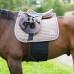 Zaščita za trebuh Elastic Belly Guard Zaščita za trebuh Elastic Belly Guard