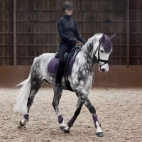 Večnamenska podsedelnica ADEPTO Blackcurrant Purple