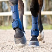 Ščitniki za prednje noge Horze Brushing Boots Ščitniki za prednje noge Horze Brushing Boots