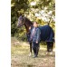 HORZE flis odeja za ponije MAGIC HORSY HORZE flis odeja za ponije MAGIC HORSY
