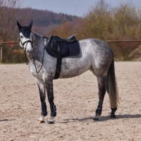 Naušniki ADEPTO Dark Navy