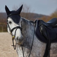 Naušniki ADEPTO Dark Navy