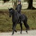 Naušniki ADEPTO BLACK Naušniki ADEPTO BLACK
