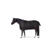HORZE nepremočljiva zimska odeja za ponije PEGASUS, 200g/600D HORZE nepremočljiva zimska odeja za ponije PEGASUS, 200g/600D