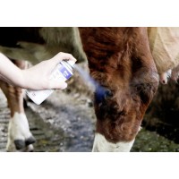 Blue spray, regenerativni sprej, 400 ml