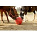 Žoga za seno Feed Ball Toy