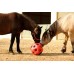 Žoga za seno Feed Ball Toy