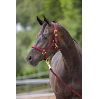 Hlevska oglavka COVALLIERO ELEGANCE