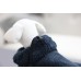 Kopalni plašček ROYAL DRY XS (0 - 6 kg), BLUE Kopalni plašček ROYAL DRY XS (0 - 6 kg), BLUE