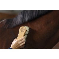 MAGIC BRUSH krtača za temeljito čiščenje 2 v 1