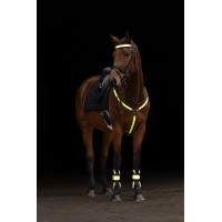 Predprsnica REFLEKTION LED, utripajoča