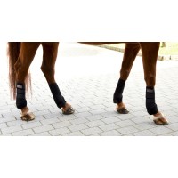Komplet 4 ščitnikov FETLOCK,neopren