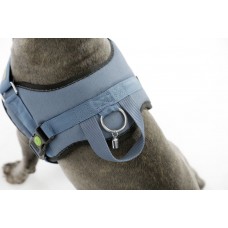 Oprsnica za psa MAESTRO