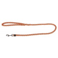 Povodec za psa Maxi Safe, svetleč, 100cm