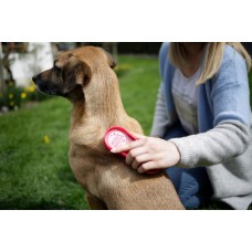 Odstranjevalec odmrle dlake MAGIC BRUSH DOG